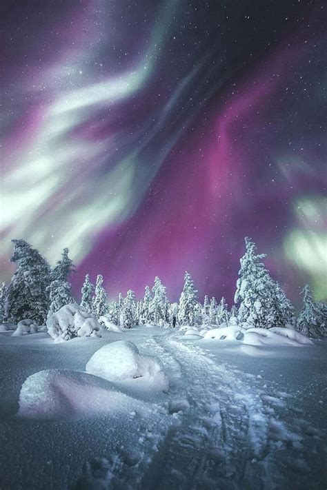 Aurora Boreal Northern Lights Nature Photography Winter Landscape