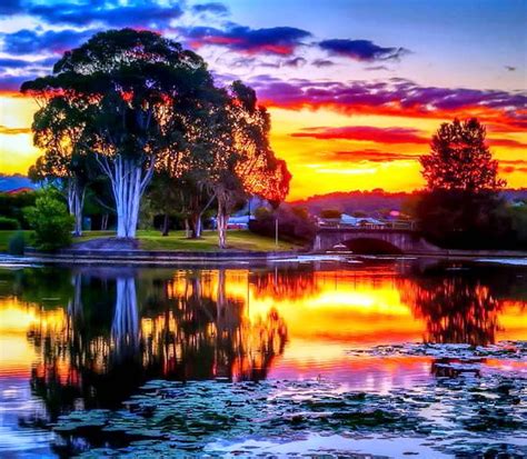 Sunset Over The Lake Fishes River Sunset Reflection Colorful