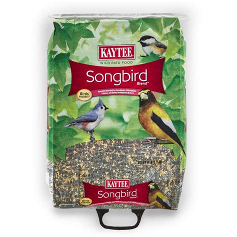 4.7 out of 5 stars: Kaytee Songbird Songbird Wild Bird Food Black Oil ...