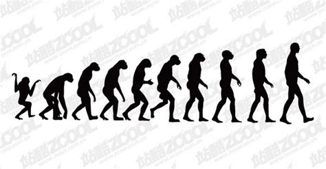 Human Evolution Illustrations To Download For Free Freeimages