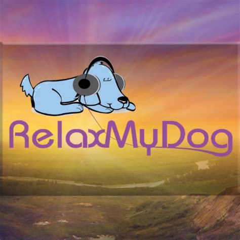 Dog Relaxation Music Music To Help Your Dog Relax From Stress Or