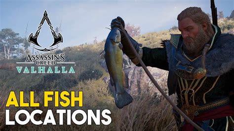 Assassins Creed Valhalla All Fish Locations Good Catch Trophy Guide