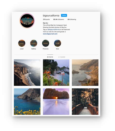 Instagram Profile Template