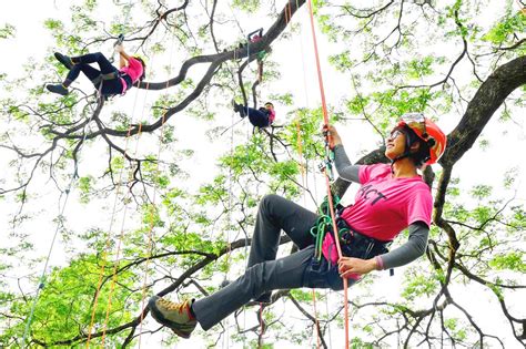 Tree Climbing Growing Among Women Taipei Times
