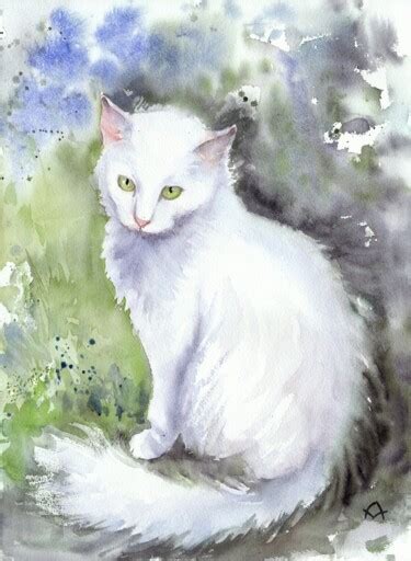 White Cat Art Mistersport
