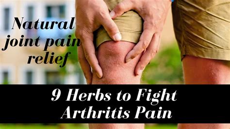 Natural Joint Pain Relief 9 Herbs To Fight Arthritis Pain YouTube