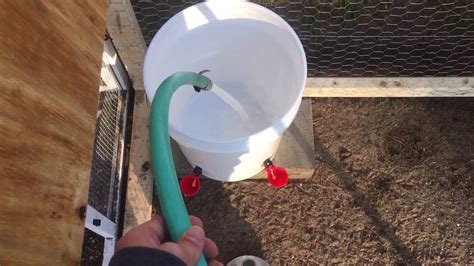 How To Make A Chicken Waterer Using 5 Gallon Bucket Easy Diy Youtube
