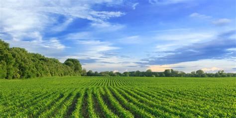 Investing In Row Crop Farmland Landthink