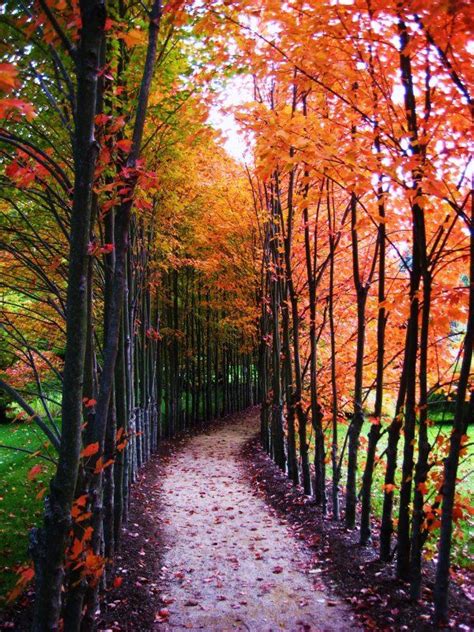 A Beautiful Fall Beautiful World Beautiful Places Simply