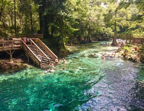 Swimming At Madison Blue Spring State Park In Florida