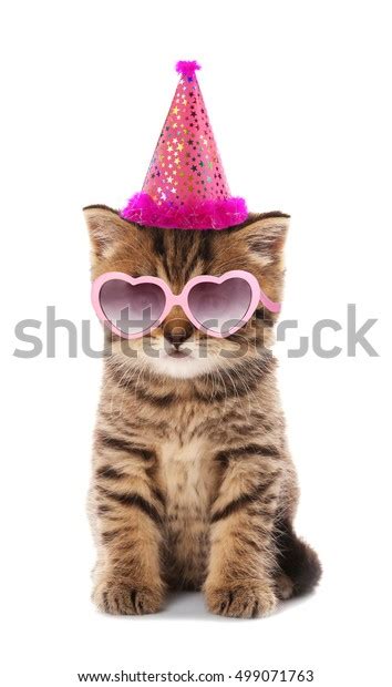 Small Cute Kitten Pink Heartshaped Sunglasses Stock Photo Edit Now