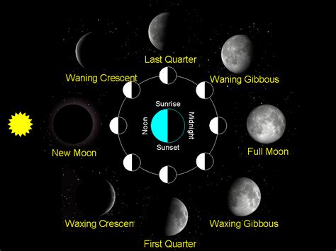The Awesome Moon Phases