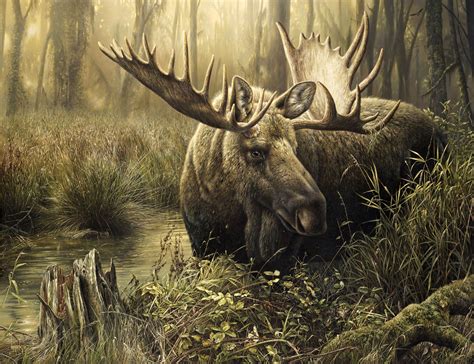 Download Moose Wallpaper Wildlife Paintings Moose Painting Wildlife