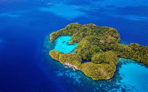 1290x2796px 2k Free Download Tropical Island Top View Ocean