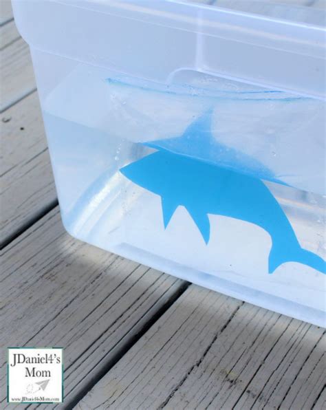 Stem Shark Activities For Kids How Do Sharks Float Shark