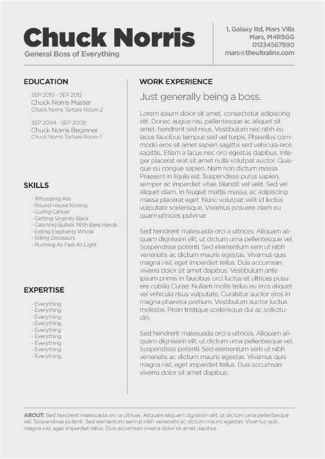 Fancy Cv Template Free Download Resume Themplate Ideas