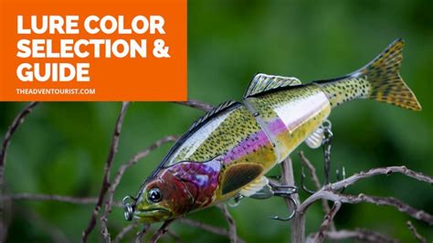 Fishing Lure Color Selection A Detailed Guide The Adventourist