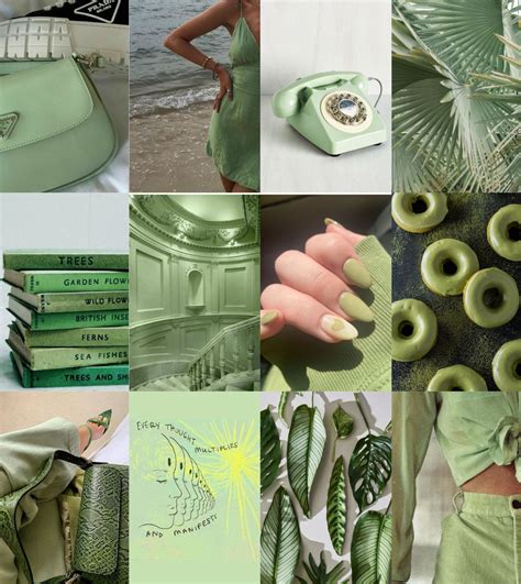 Iphone Wallpaper Green Sage Green Wallpaper Mint Green Aesthetic