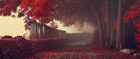 We did not find results for: ultra wide, Photography, Nature Wallpapers HD / Desktop ...