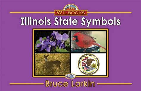 Illinois State Symbols First Grade Book Wilbooks