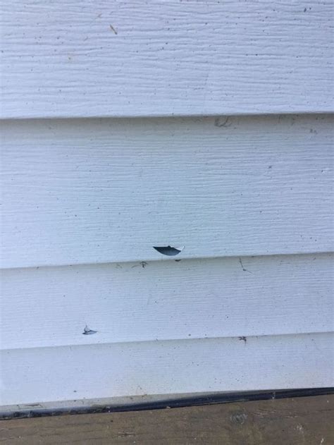 We did not find results for: How to repair cracked and broken vinyl siding? | Hometalk