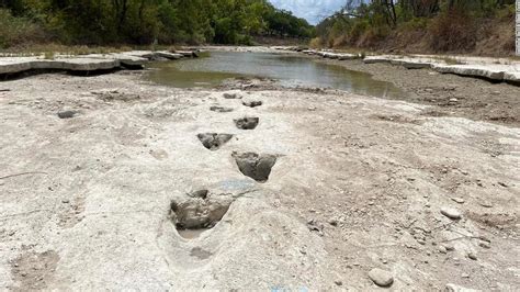 1億1300万年前の恐竜の足跡、干ばつで干上がった川から次々に発見 米テキサス州12 Jp