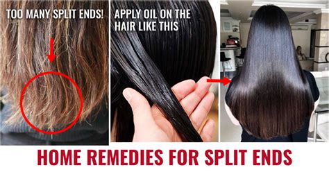 Discover More Than Split Hair Treatment Latest In Eteachers