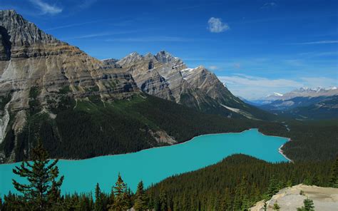 Скачать обои озеро горы лес пейзаж канада разрешение 2560x1600 75729