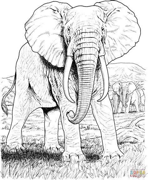 Afrikansk Elefant Tegninger Til Print