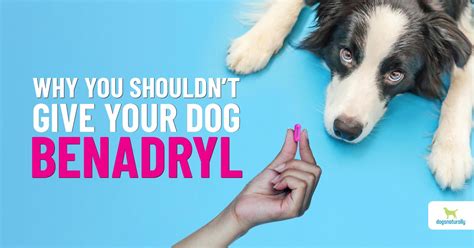 Benadryl For Dogs Is It Safe Dogs Naturally