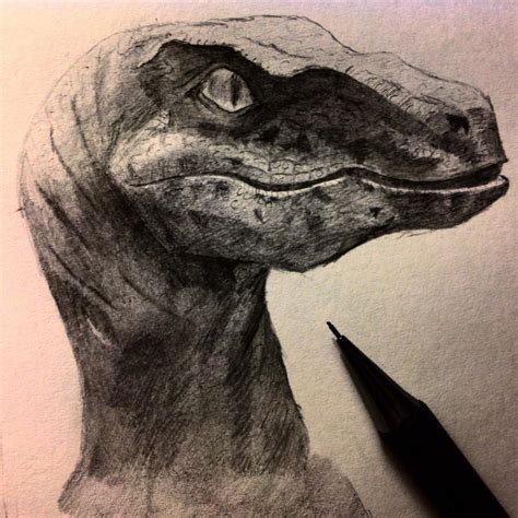 Jurassic World Velociraptor Sketch By Theonewhodraws1998 On Deviantart
