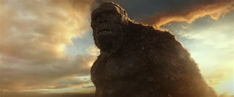 Godzilla Vs Kong Trailer  Breaking Godzilla Vs Kong Release My Xxx