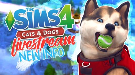 The Sims 4 Cats And Dogs Gameplay World Map Adoption New Woohoo