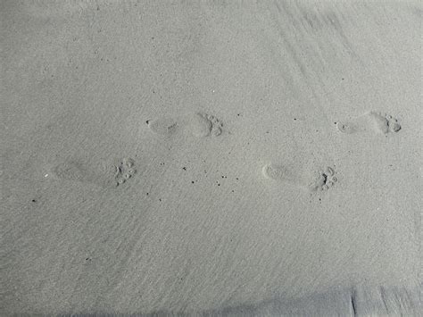 Footprints In The Sand By Jesuscamacho On Deviantart