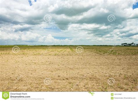 Barren Agriculture Field Stock Image Image Of Nutrition 120137687