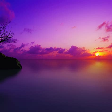 Maldives Wallpaper 4k Sunset Lone Tree Purple Sky Clouds Sun Dusk