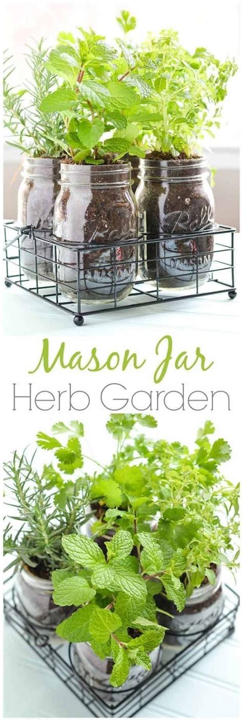 Mason Jar Diy Herb Garden How To Grow Your Herbs Indoor Gardening