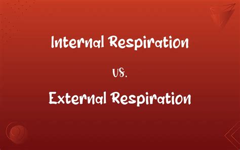 Internal Respiration Vs External Respiration Whats The Difference