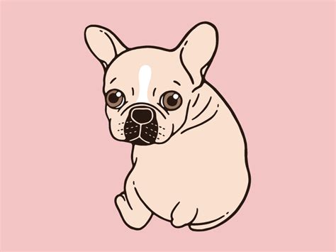 Cute Cute French Bulldog Cartoon Drawing L2sanpiero