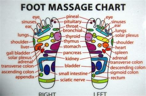 Chinese Acupuncture Foot Chart Our Acupuncture Points Website