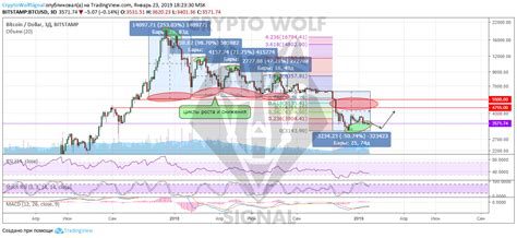 What is the bitcoin price prediction? Bitcoin Rise and Fall Cycles - Crypto Wolf Signal