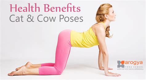 The bulk of our nerves run along the spine. Benefits Of Cat Pose In Yoga - YogaWalls