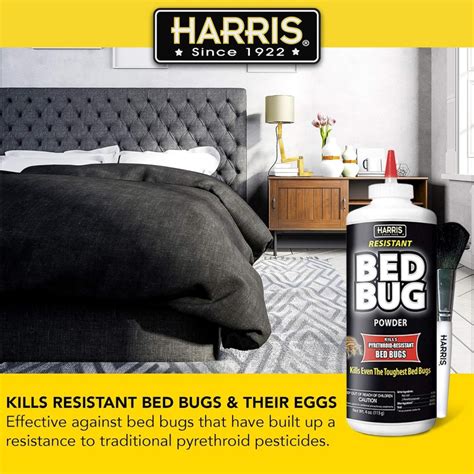 8 Best Bed Bug Powder 2023 Hummingbirds Plus