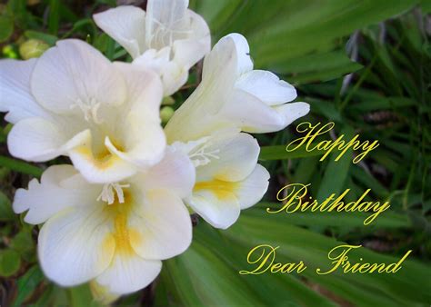 A birthday can be seen as a serious or joyful time depending on one's age and one's attitude towards life. "Happy Birthday Dear Friend" by TLCGraphics | Redbubble
