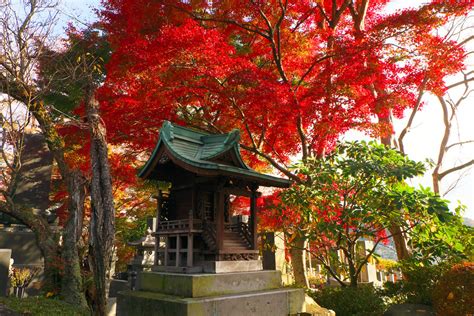 Eigenjitemple 永源寺 日本国茨城県大子町 Daigoibarakijapan Temple Kazuo