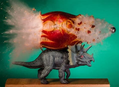 500px Nectaronosaurus By Alan Sailer High Speed Photography Object