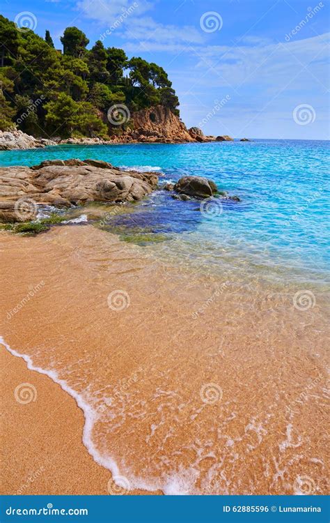 Cala Sa Boadella Platja Beach In Lloret De Mar Stock Photo Image Of Landscape Catalonia