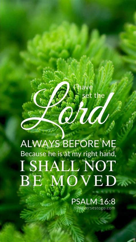Green Christian Wallpaper - Over 500 FREE Downloads - Bible Verses To Go