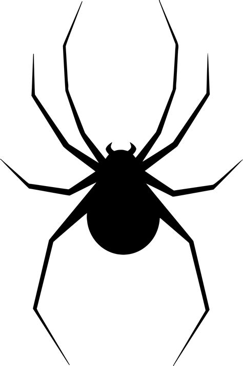Black Spider Png Free Download Free Png Pack Download