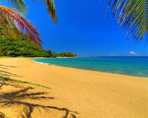 🔥 40 Ipad Wallpapers Beach Scenes Wallpapersafari